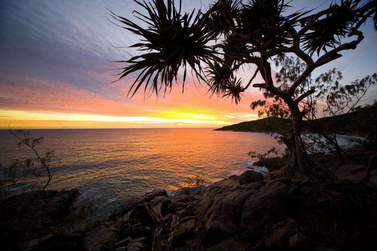 Low Tide On Noosa Sound - Pet Friendly Noosa Heads Exterior foto