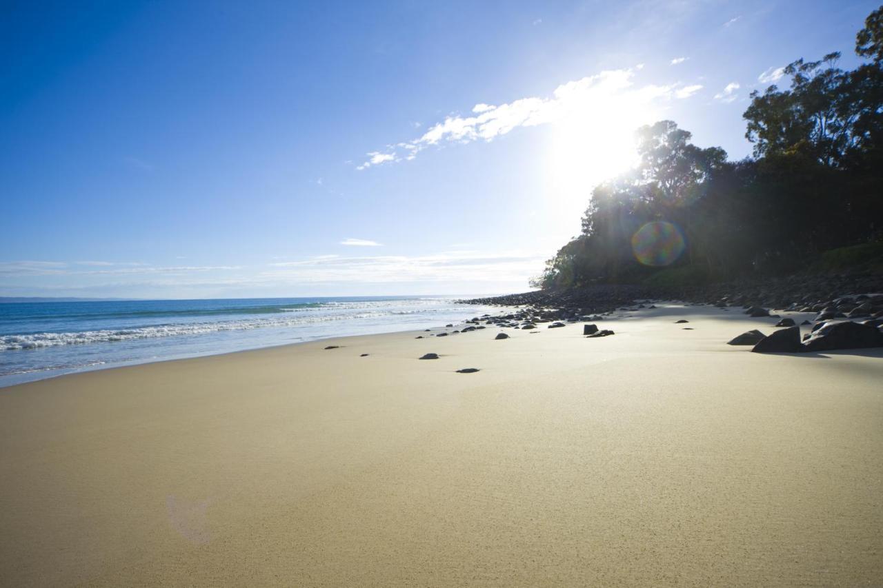Low Tide On Noosa Sound - Pet Friendly Noosa Heads Exterior foto
